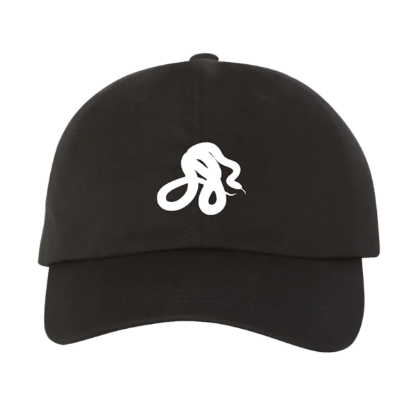 Private Music Snake Hat